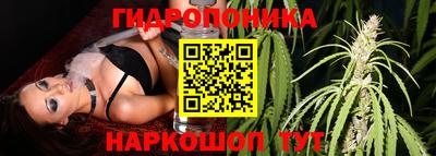 MDMA Будённовск