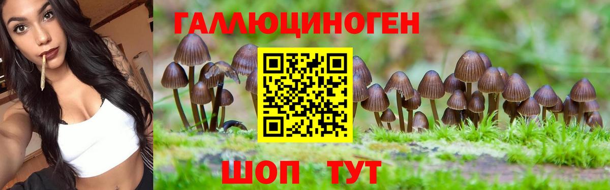 Ханты-Мансийск  Псилоцибиновые грибы мухоморы  Вход с VPN 